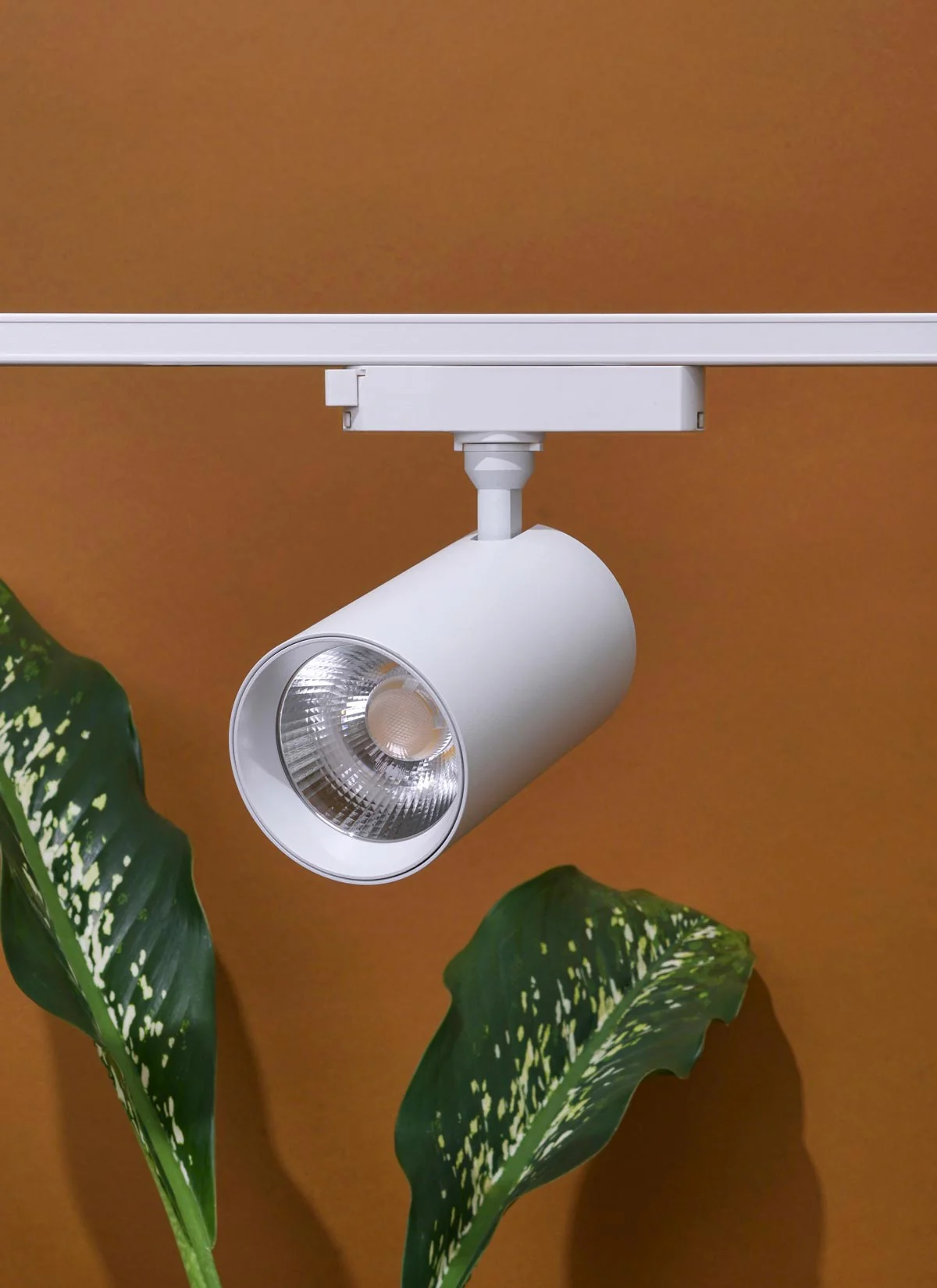 Featured Sale: Fresh Finds & Timeless Deals